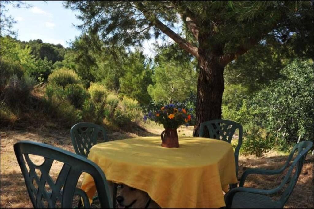 Holiday home Mas Equipe En Pleine Nature Catalane Cases-de-Pene